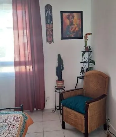 Meuble Avec Jardin Appartement Le Boulou